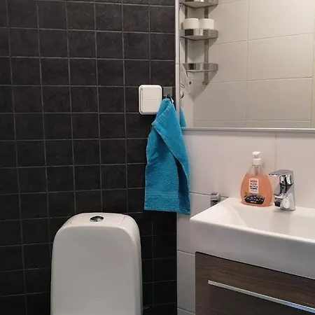 - Vuosselin Helmi B21